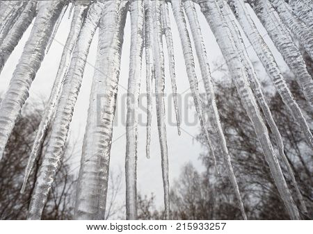 Close-up of icicles on railing. Beautiful nature phenomena. Forester background.