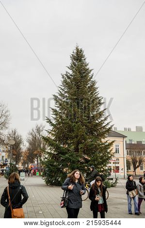 KEHL GERMANY - DEC 13 2016: Tall Christmas Tree in central Kehl in Baden-Wurtemberg with pedestrians walking nearby during December holiday season
