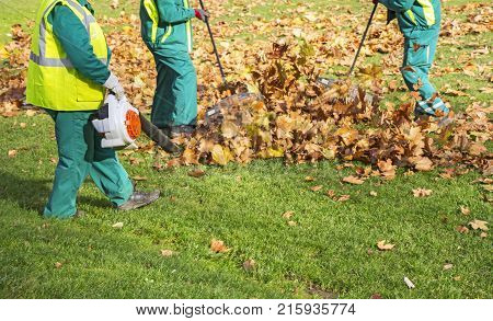 Workers cleaning fallen autumn leaves with a leaf blower