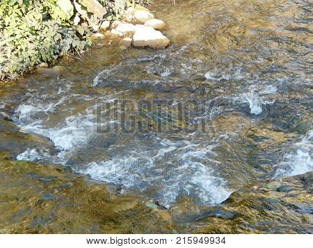 Mountain Caucasian river surrounded by picturesque autumn nature