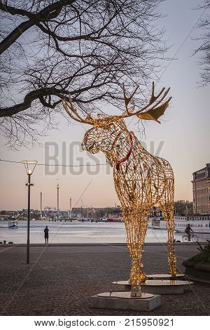 STOCKHOLM SWEDEN - DECEMBER 23 2016: Large moose sculpture made of led lights at Nybrokajen during Christmas season