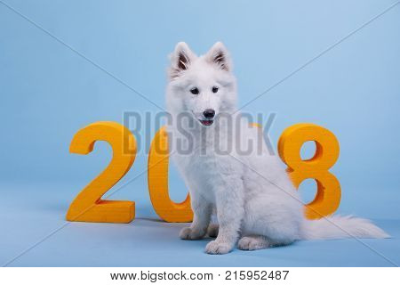 A small fluffy white-colored samoyed puppy sits on a blue background, next to the orange large number 2018.