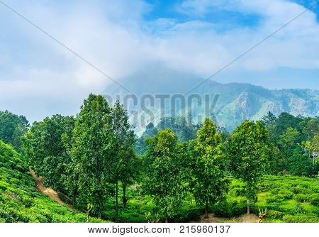 Roadside Chapel In Pindus Mountains, Greece