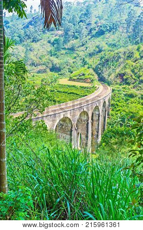 Damodara Landscape With Nine Arch Bridge
