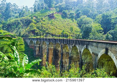 Damodara Landscape With Nine Arch Bridge