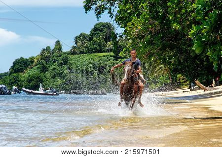 Taveuni, Fiji - November 23: Unidentified Man Rides A Horse On The Beach On November 23, 2013 On Tev