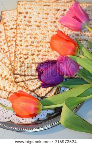 joyful spring festival - jewish holiday of Passover and its attributes, with matzo and spring tulips - Happy Passover