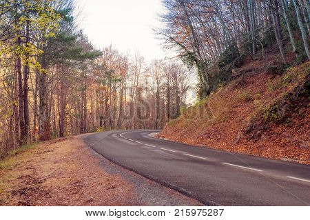 Road in yellow autumn forest near Sau reservoir in Catalonia Spain.
