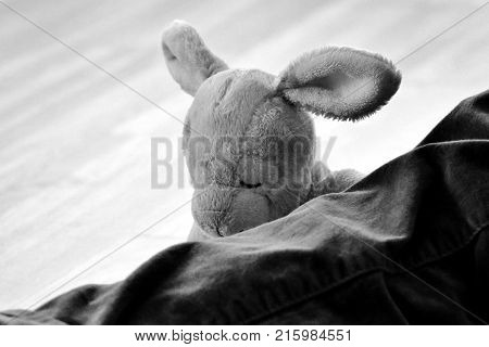 sad bunny hiding behind a human leg