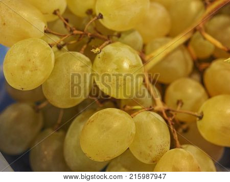 White Grape Fruit Food