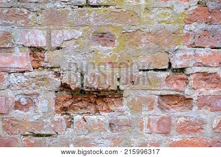 Old vintage wall of red bricks as background