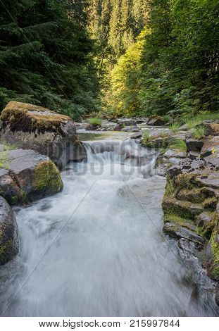 Morning Light Peeks Around The Corner Of Brice Creek