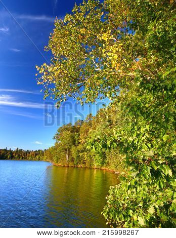 Beautiful foliage along the shoreline of Sweeney Lake in Northwoods Wisconsin