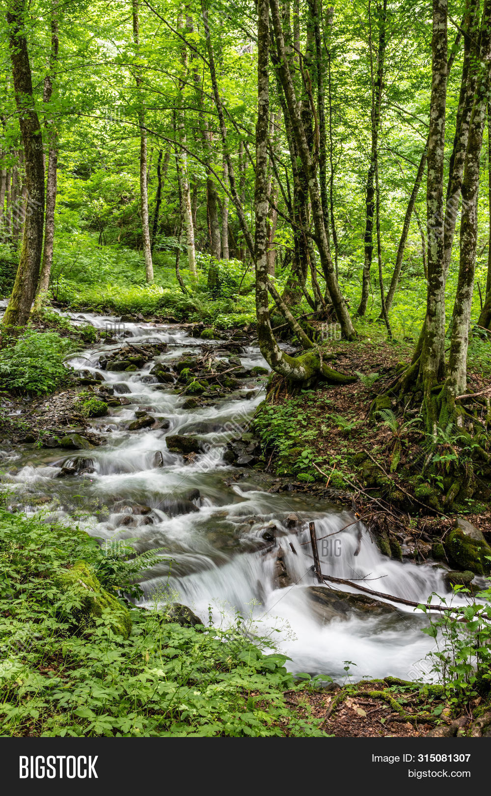 Fast Mountain Stream Image & Photo (Free Trial) Bigstock