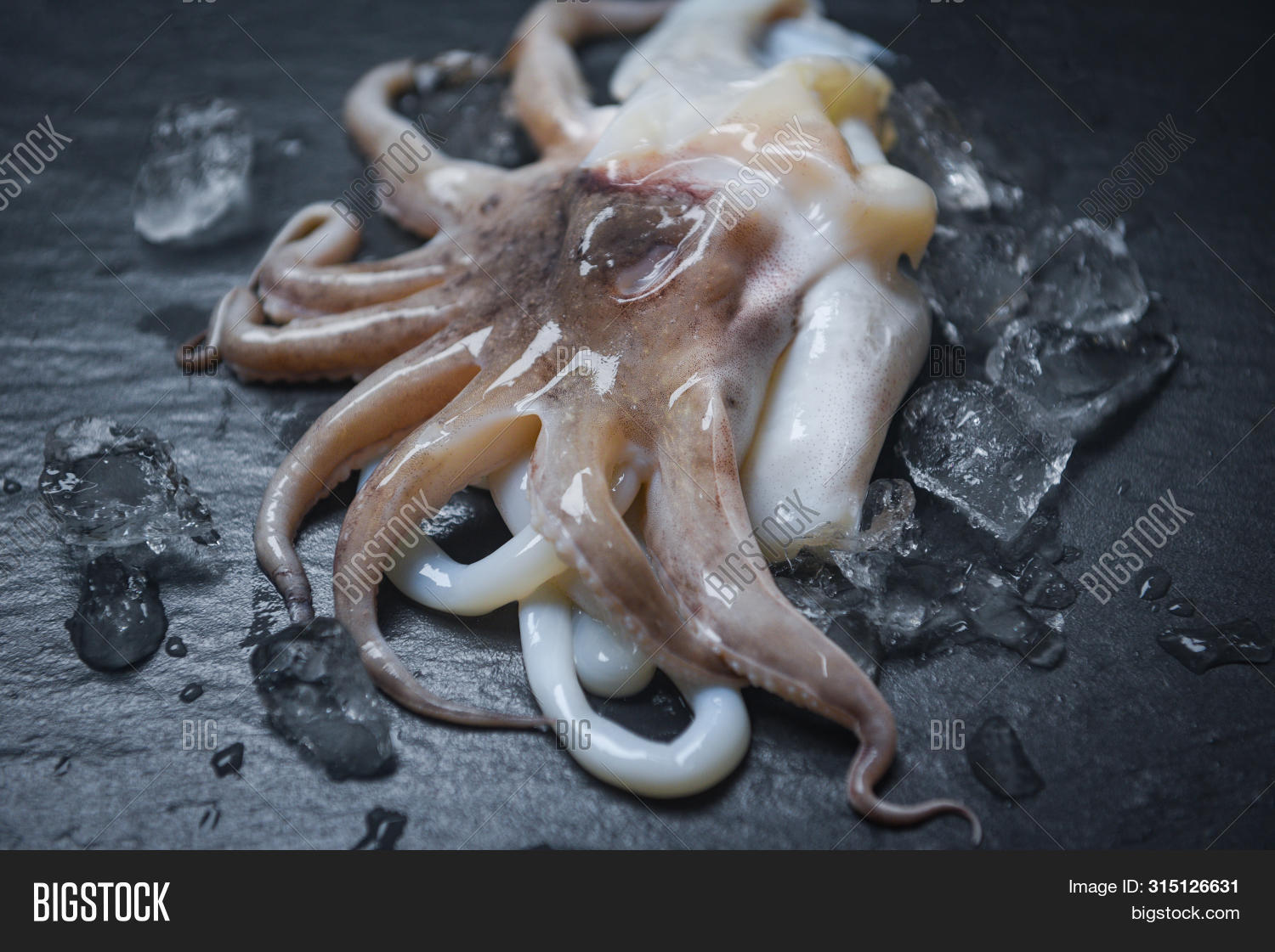 Seafood Squid On Ice Image & Photo (Free Trial) Bigstock