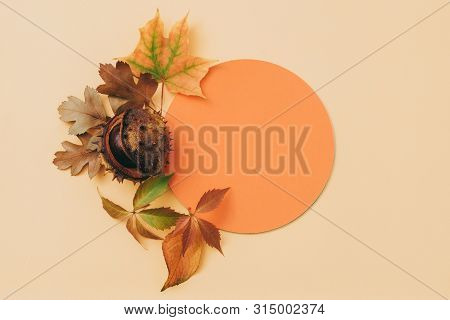 Autumn Greeting Card. Orange Mockup Circle Paper With Fall Leaves And Chestnut Decor On Pale Peach B