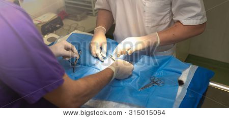Vet Doing The Operation For Sterilization. The Cat On The Operating Table In A Veterinary Clinic. Ca