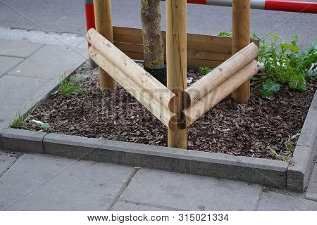 Safe Planting Of Trees In The City, Protection From Vandalism, Fencing Wooden Structure From Natural