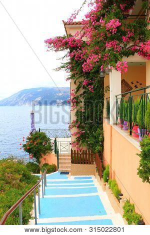 traditional greek housedoor and flowers