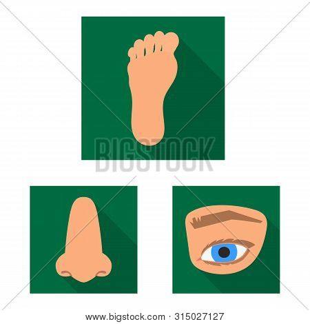 Vector Illustration Of Body And Part Logo. Set Of Body And Anatomy Vector Icon For Stock.