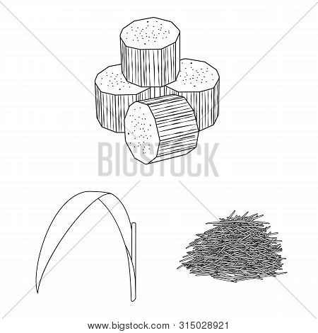 Vector Design Of Sugar And Field Icon. Set Of Sugar And Plantation Vector Icon For Stock.
