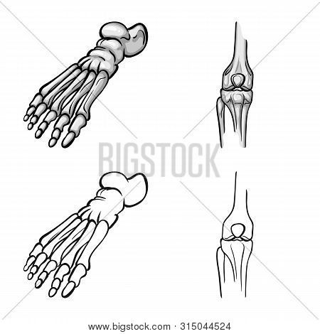 Vector Illustration Of Medicine And Clinic Icon. Set Of Medicine And Medical Vector Icon For Stock.