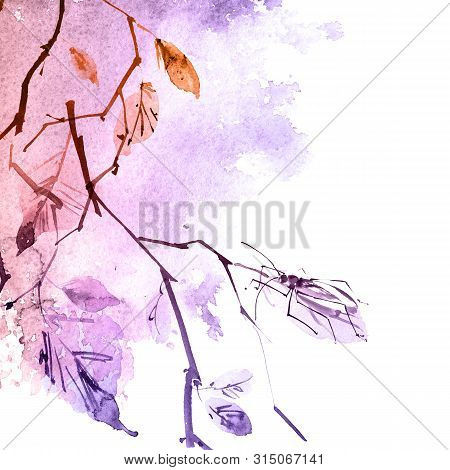 Watercolor And Ink Illustration Of Birch Tree Branch With Leaves, Sumi-e And U-sin Painting, Watersp