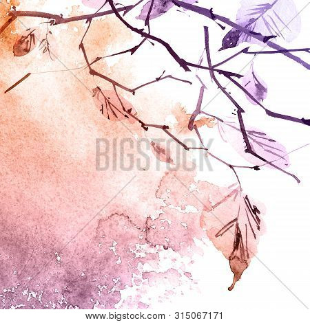 Watercolor And Ink Illustration Of Birch Tree Branch With Leaves, Sumi-e And U-sin Painting, Watersp