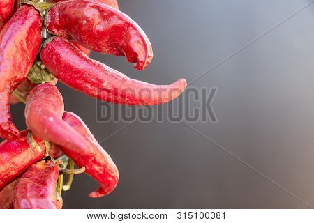 The Real Red Chili Peppers Isolated On The Grey Background Without Photoshop