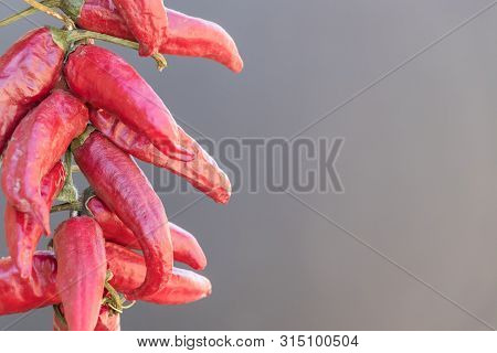 Group Of Dried Pepper Put On The Left Side On A Grey Background, Selective Focus