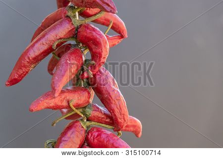Red Dry Chili Pepper Close-up On A Grey Background, Serbia