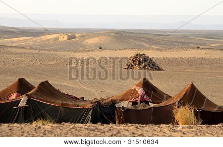 Beduin desert camp