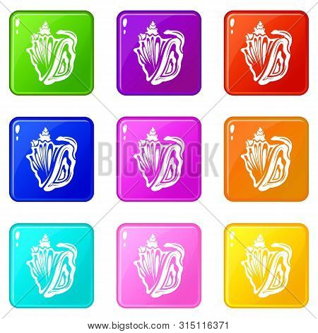 Rapan Icons Set 9 Color Collection Isolated On White For Any Design