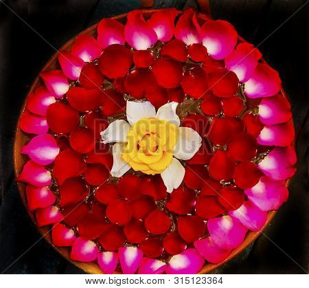 Colorful Mexican Red Yellow White Pink Rose Petals Flowers Arrangement Handicrafts Oaxaca Mexico.