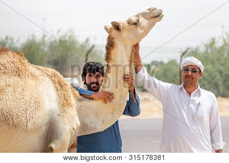 Al Ain, Uae - March 27, 2019: Men Selling Hay Stacks On The Side Of The Road Near Al Ain, Uae Posing