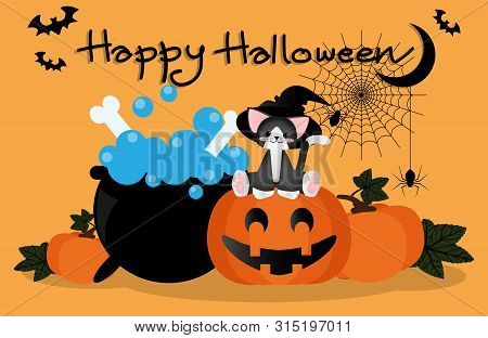 Vector Illustration Of Cute Cat Have Witch Hat Sitting On Pumpkin Lantern Near A Pot, Spiders Hangin