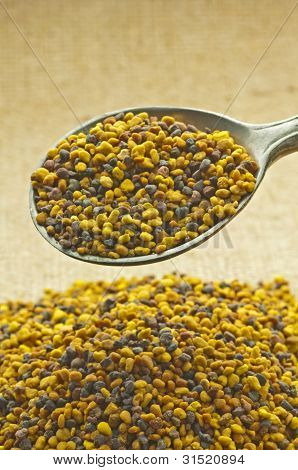 Bee Pollen