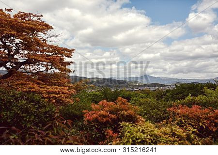 View Of Mountain Vista Surrounded By Forest Trees In Arashiyama, Japan