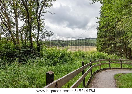 Footpath Through Hafren Forest, Wales, With A Stormy Summer Sky And View Over Lush Countryside