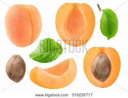 Isolated Apricots Collection. Whole And Cut Apricot Fruits, Leaves And Kernel Isolated On White Back