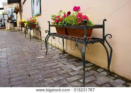 Small Long Pot With Beautiful Flowers Near The Wall On The Metal Stand. Summer Concept Background An