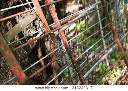 Grilles, Fences And Steel Pipes Leaned Against A Tree In The Grubbe Forest