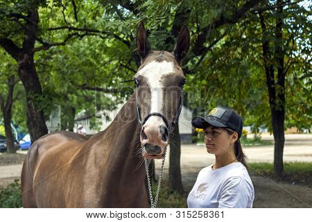 Pyatigorsk,russia - August 03,2019:portrait Of A Akhal-teke Horse Ahd Trainer, Twentieth Mass-meetin
