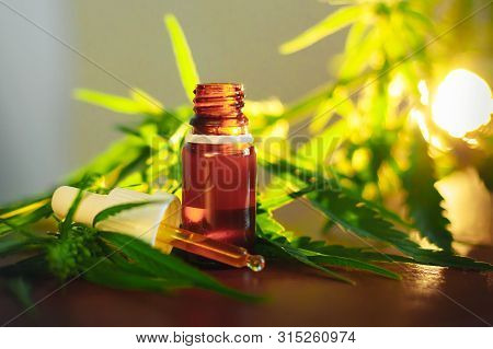 Cannabidiol Cbd Oil With A Pipette On Background Of Marijuana, Hemp Oil Extracts In Jar. Medical Mar
