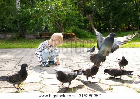 Kid Sits Surrounded By Pigeons And Studies The Crumbs Of Bread Intended For Them In A Summer Green P