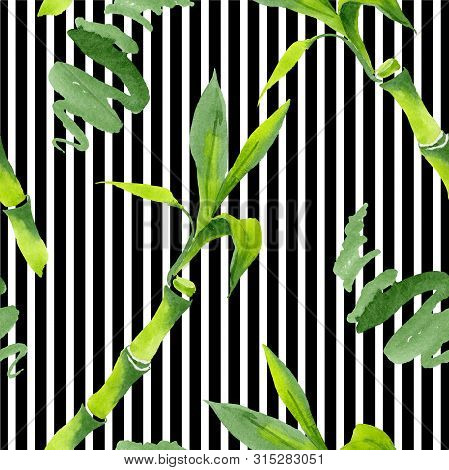 Bamboo Green Leaves. Watercolor Background Illustration Set. Seamless Background Pattern.