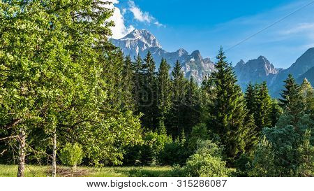 Summer Has Arrived In The Italian Alps