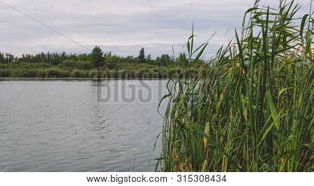 Large Lake On A Sunny Day Against The Background Of A Dense Green Forest, Nature In Russia