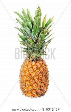 Pineapple Fruit With Leaf Isolated On White Background. Professional Studio Photo. Yellow Ripe Pinea