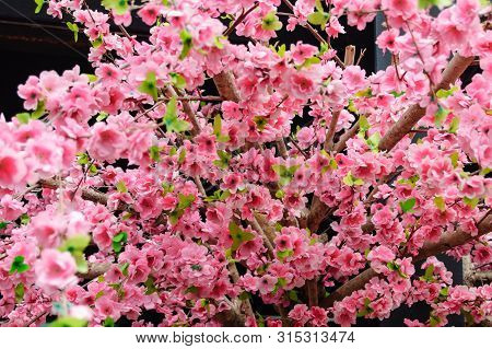 Artificial Sakura Flowers For Decorating Japanese Style. Spring Blossom. Image Has Shallow Depth Of 